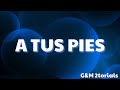 Video thumbnail of "A tus pies Miel san marcos ft. Christine D clario Letra"