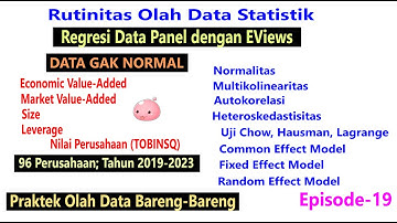 Regresi Data Panel dengan EViews, Episode 19