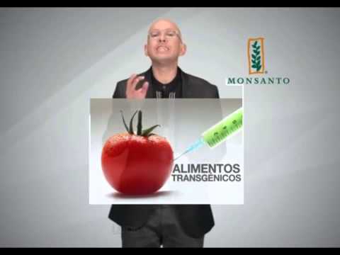 Video: ¿Cuántas acciones de Monsanto hay?