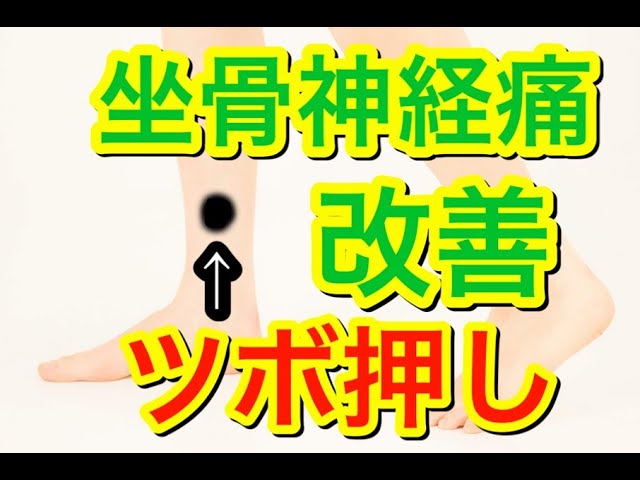 坐骨神経痛 改善 ツボ押し Youtube 坐骨神経痛 改善 ツボ押し Youtube