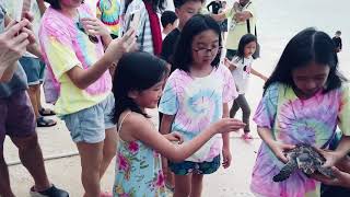 Sea Turtle Farm Koh Talu