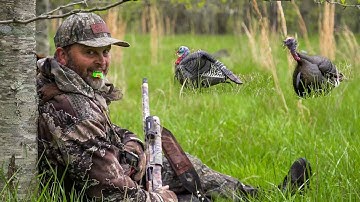 PERFECT Right Off Roost | Kentucky Classic Turkey