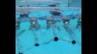 Nanyang Cutter Fish Swimming Pool Testing