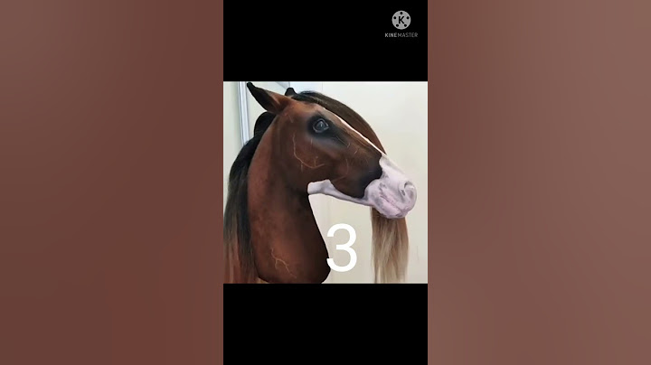 Choose your hobby horse part 4 realistic version!!