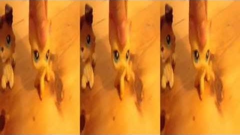 LPS~Brooke Hayes Sings Broken Hearted Girl by Beyoncè