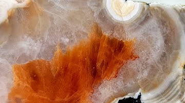 Cutting Open GEODES and BASALT NODULES From The Bay Of Fundy, Nova Scotia | Beautiful Treasures