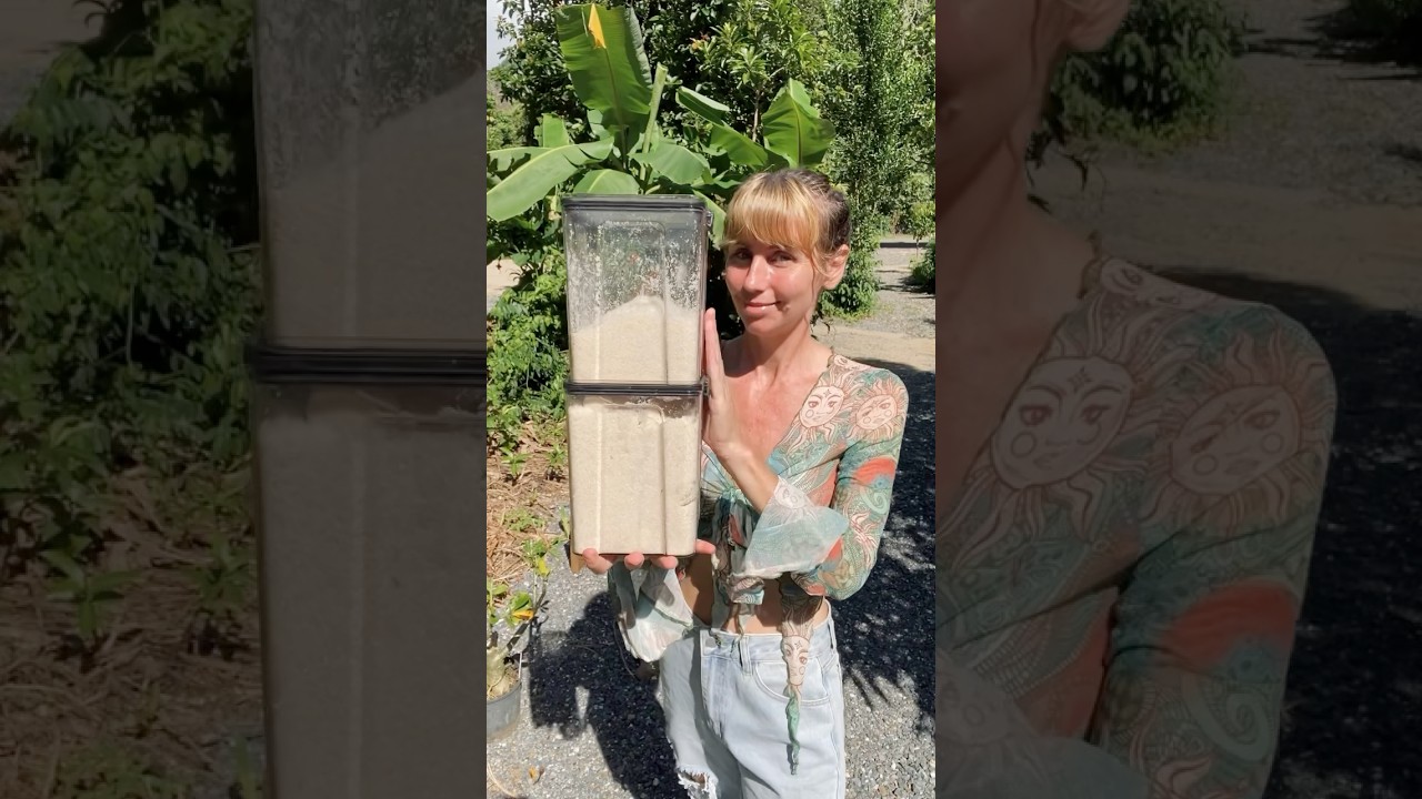 How much sugar I eat in a day, week and month. 😳 😄