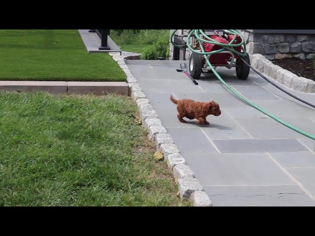 Zoey video thumbnail