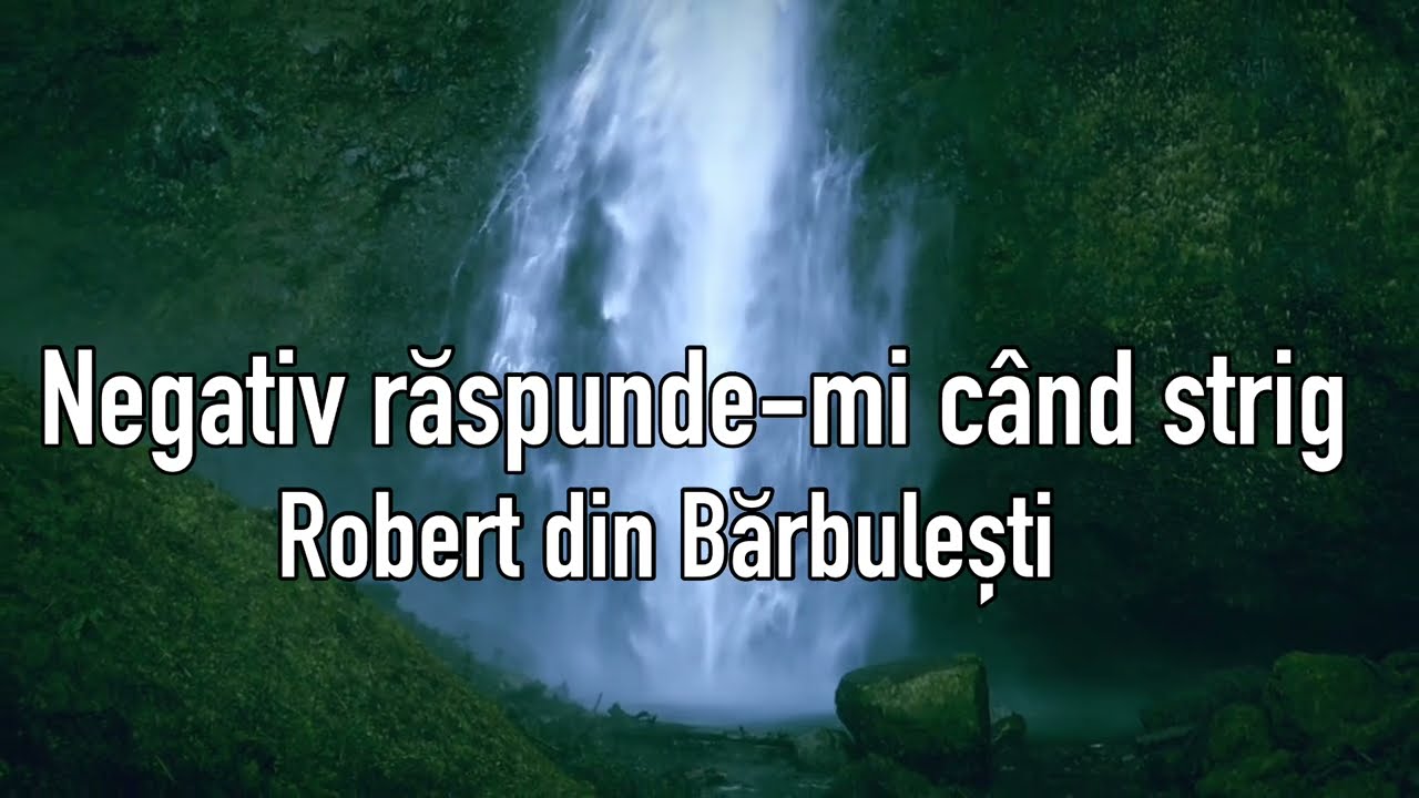 Negativ Robert din Bărbulești răspunde-mi când strig