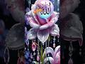 #love #allah #viralvideos