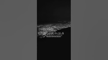 القرآن الكريم راحة نفسية 😌 ❤️#اكسبلور #القرآن_الكريم #duet #المصحف #لايك #راحة_نفسية