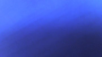 Class IV EVS CH-7 From The Window ( Part-2 )