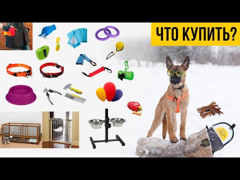 Что нужно купить для щенка в первую очередь.