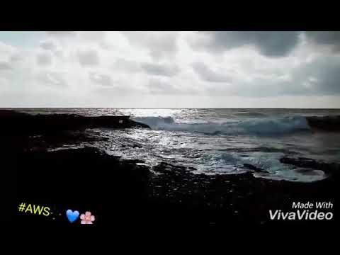 شال الحنين ومشى