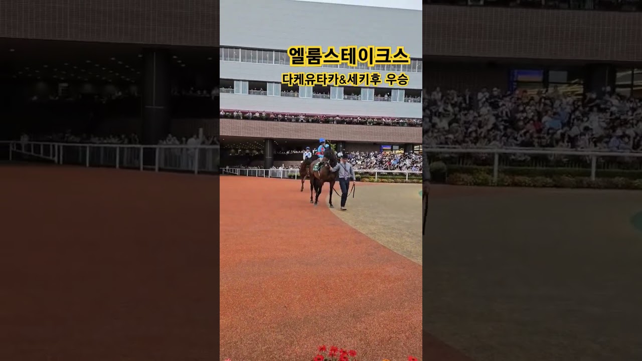 삿포로경마장🥕🐴엘룸스테이크스~키레아직관영상입니다~