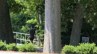 Scorching summer temperatures are making history in the record books