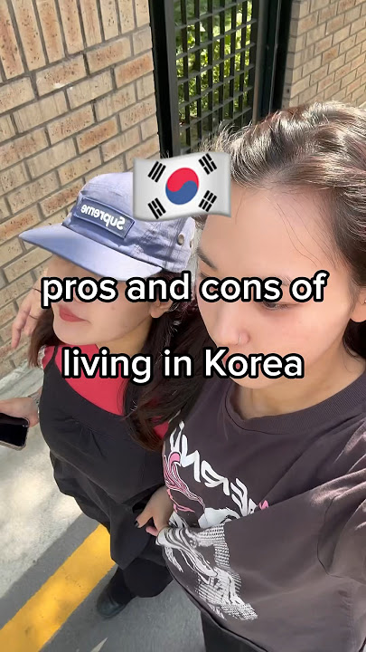 🇰🇷Pros and Cons of Living in Korea🤔