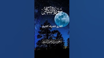 سورة التكاثر لفضيلة الشيخ :سعود الشريم 🌴#سورة_التكاثر #قران_كريم #سعود_الشريم #راحه_نفسيه#اكسبلور