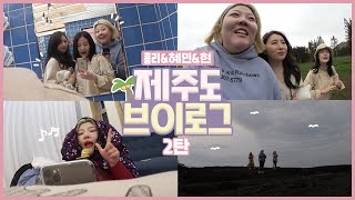 *[Hol Jeju🏕Episode 2] Tangerine Field + Coastal Walkway + Myeongridong Restaurant + Netflix