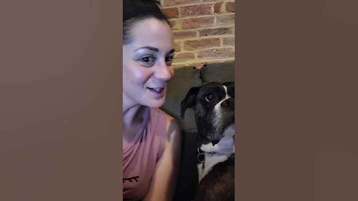 boxer nice kisses