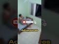 Cheetah! Entered to this man Room?? 😱😱  #cheetah #crazyanimals #animals