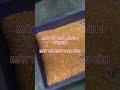 MÁY VỠ NGÔ 1 TẤN/ giờ