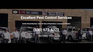 Pest Control Lincoln CA Cal King Pest Control