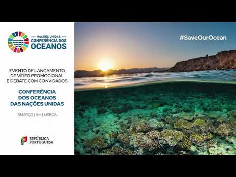 Vídeo: Oceano mundial: problemas. O problema de usar os oceanos