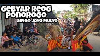 Gebyar Reog Ponorogo Singo Joyo Mulyo