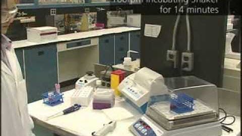 Eendotoxin activity assay