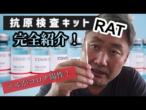 ラットのウイルス感染症状と治療法【獣医師が解説】