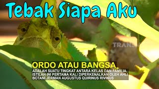Jago Menyamar Dan Jago Menangkap Mangsa | Si Otan (05/02/20) PART 2