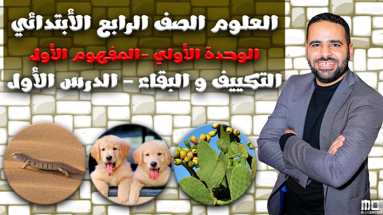 التكيف والبقاء | علوم رابعة ابتدائي |  المفهوم الأول - الدرس الأول (شرح ممتع + أسئلة هامة) 🔥
