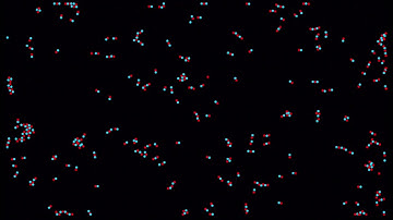 Magnet Sim | Particle Automaton