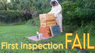My first BEE inspection went TERRIBLE