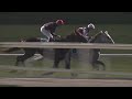 Race 4 -  Gloria De Campeao