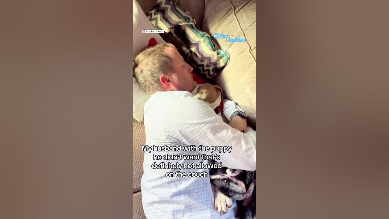 Dad caught cuddling puppy ‘he didn’t want’ on sofa ‘she’s not allowed