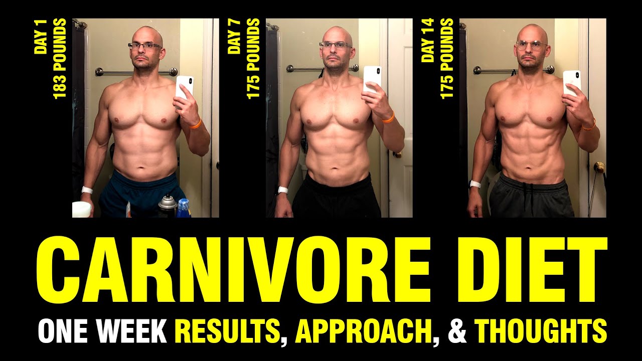 CARNIVORE DIET RESULTS APPROACH THOUGHTS YouTube