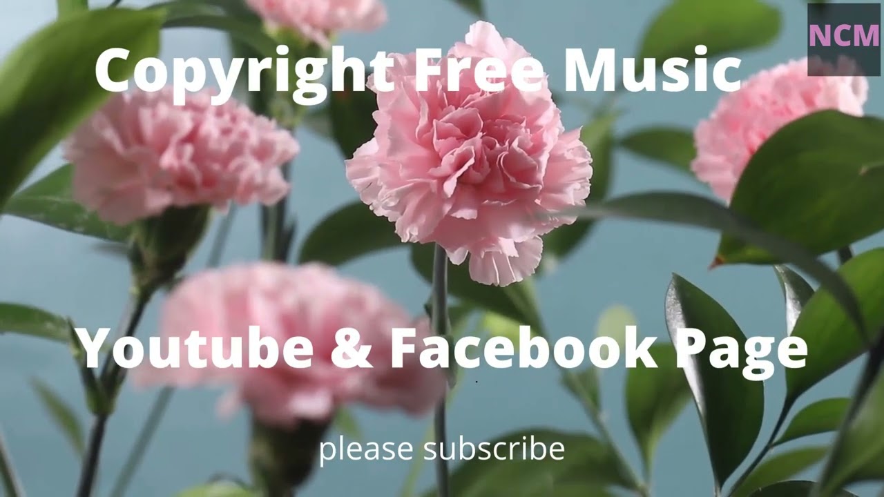 Free Backround Music Facebook Page And Youtube YouTube