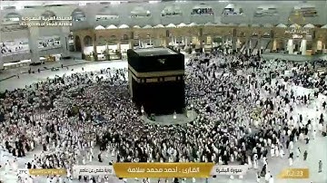 سورة البقرة كاملة الشيخ أحمد سلامة .