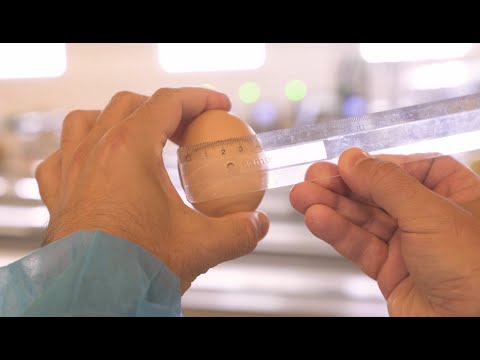 Video: Vajcia natrieme na cibuľové šupky vzorom