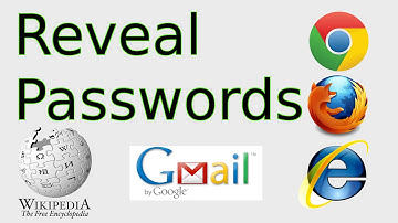 How to Reveal Passwords (Copy from Password field & Inspect Element in Chrome, FireFox)