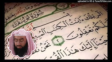 من سورة يوسف (7-18) الشيخ نبيل العوضي
