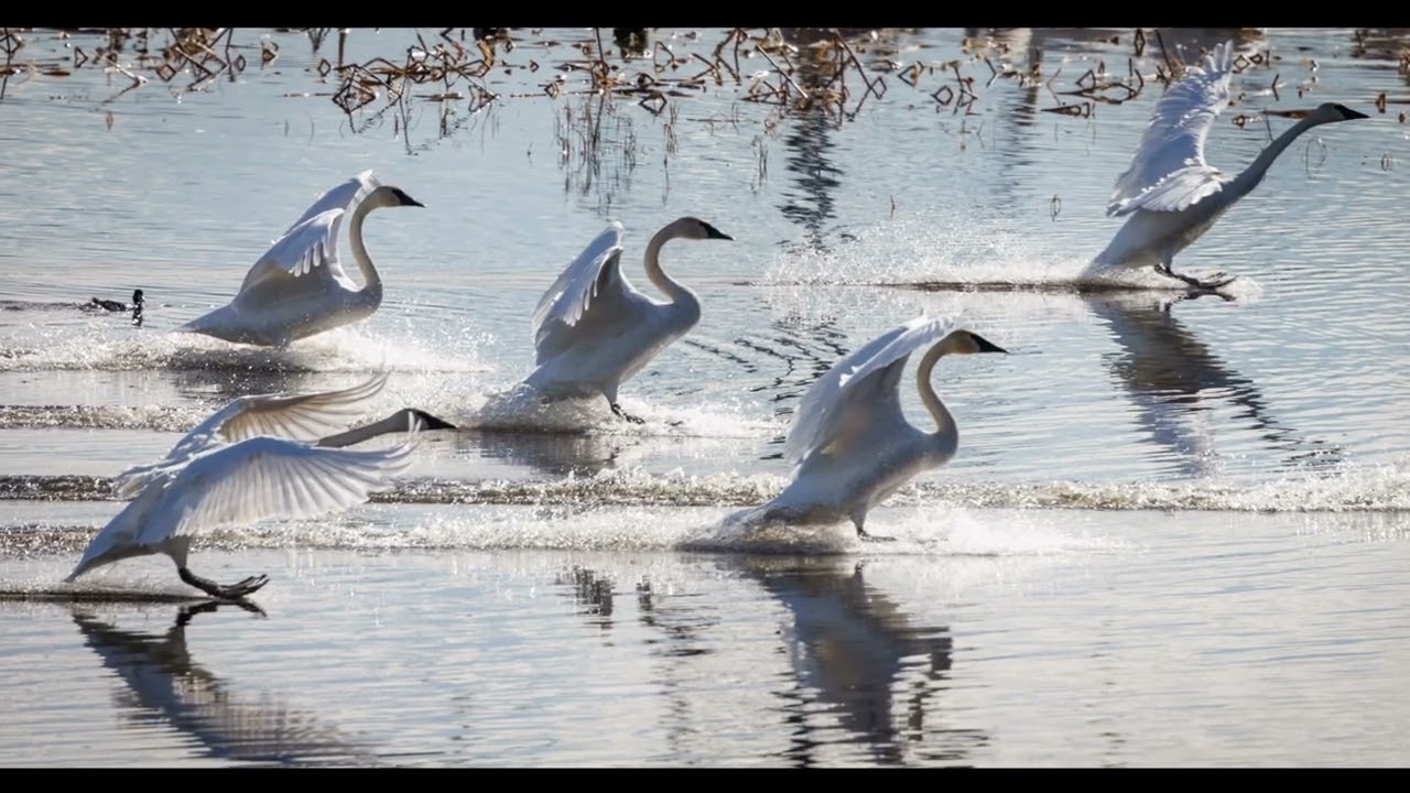 Sunny Saturday around Duvall, WA in the Snoqualmie Valley