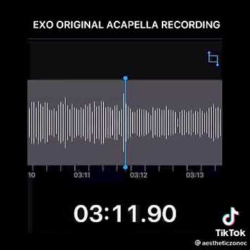 TEMPO EXO ORGINAL ACAPELLA RECORDING