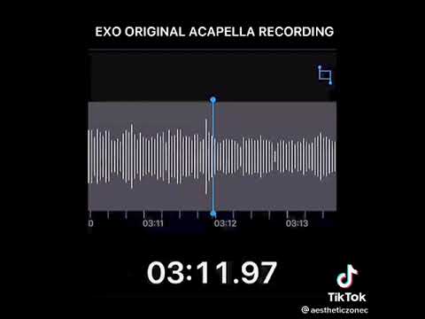 TEMPO EXO ORGINAL ACAPELLA RECORDING