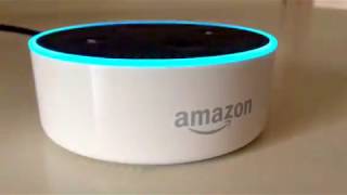 Eggcellent: A Guide to Egg-Making Using Amazon Alexa screenshot 5