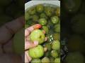 इस गर्मी आप भी बनाएं बहुत ही आसान तरीके से आंवले का मुरब्बा try this recipe#healthy #subscribe #like