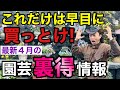 【もう待ったなし】春シーズンの本番がやってきました‼︎　　　　【園芸】【ガーデニング】【初心者】