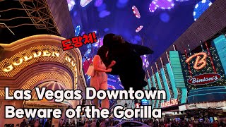 로컬이 딱 집어주는 라스베가스 다운타운 관광코스으~(Eng CC)/Las Vegas Downtown